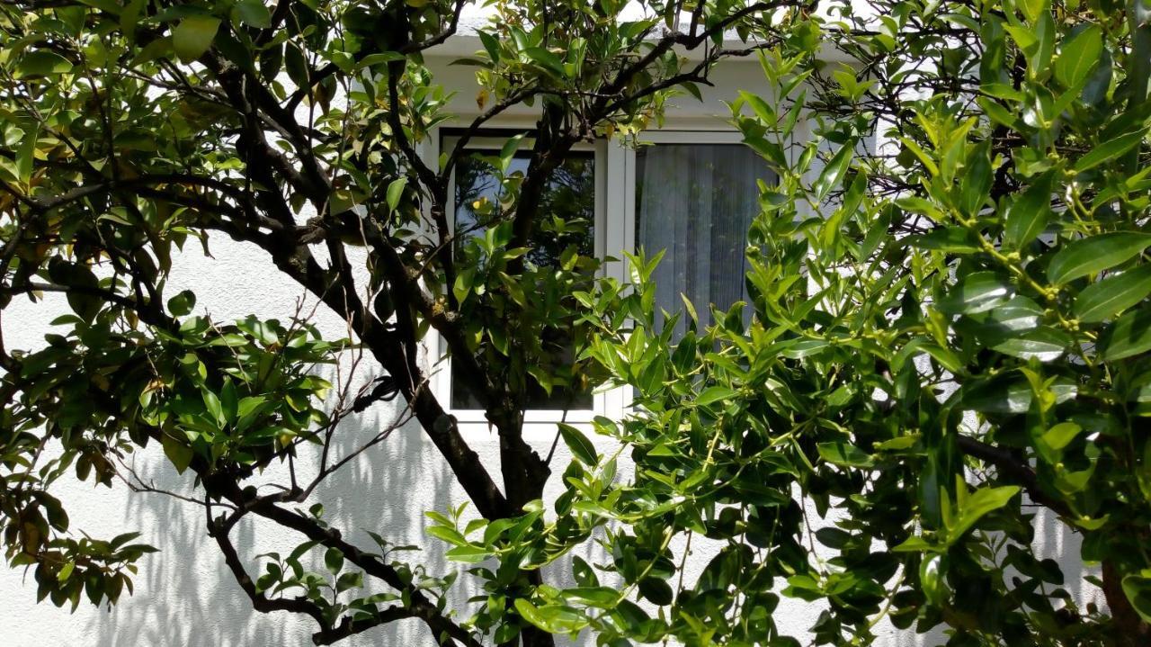 Tea Lägenhet Kotor Exteriör bild