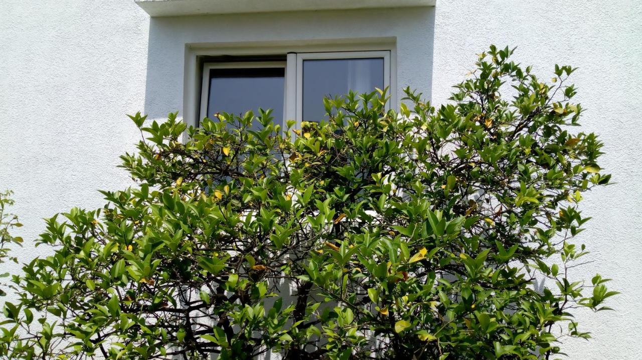Tea Lägenhet Kotor Exteriör bild