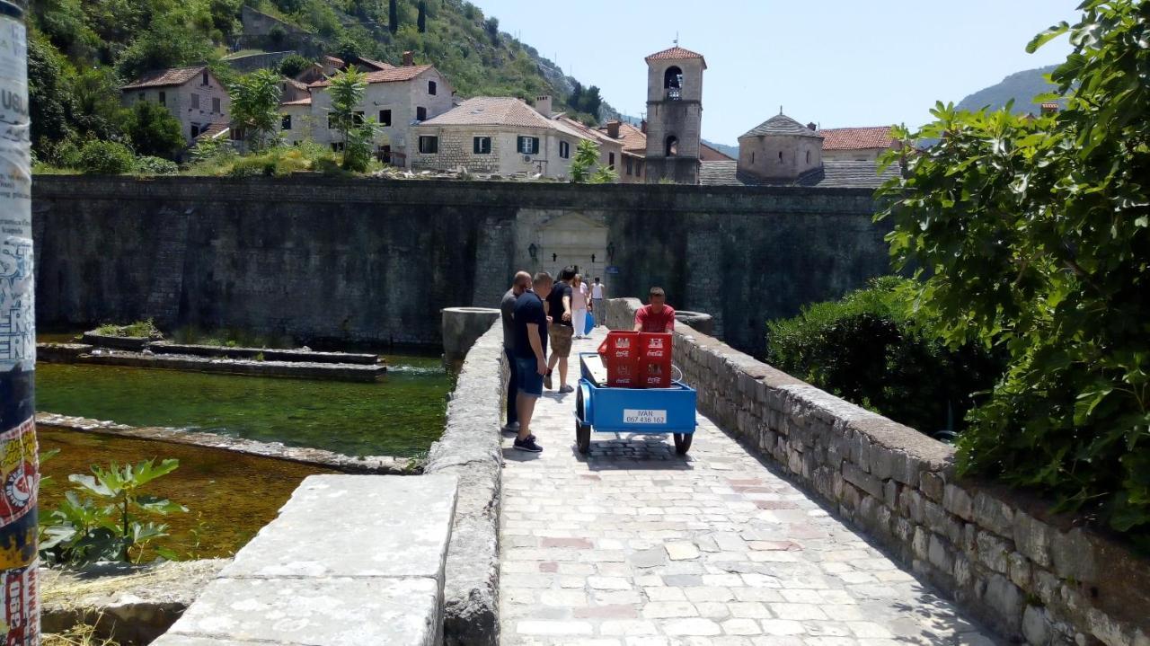 Tea Lägenhet Kotor Exteriör bild